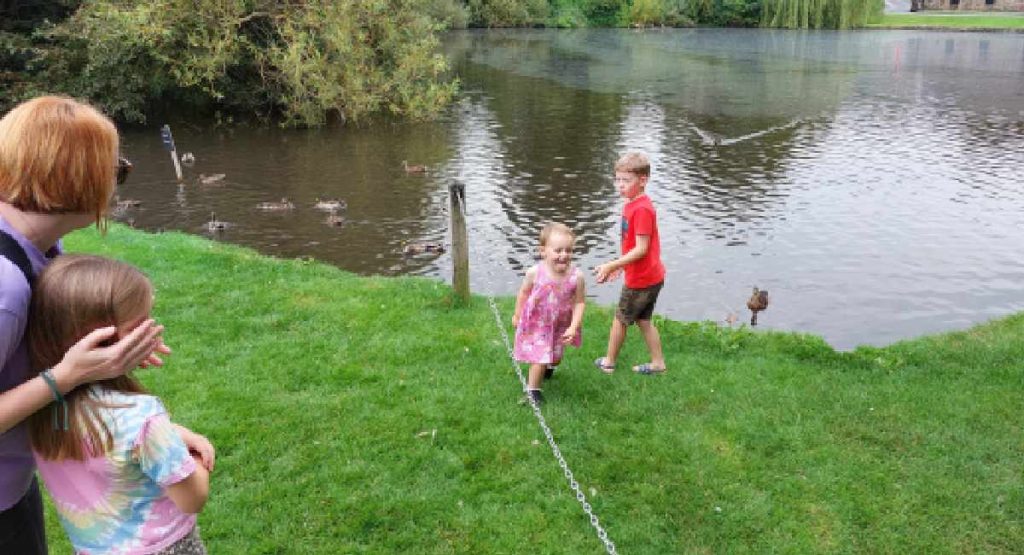 East Riddlesden Hall Family Visit Review - There are plenty of hungry ducks to feed in the lake at East Riddlesden Hall